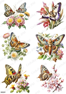 Rýžový a Soft  papír  A4 pro decoupage- R0525