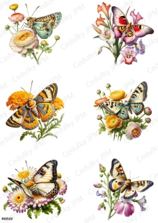 Rýžový a Soft  papír  A4 pro decoupage- R0526