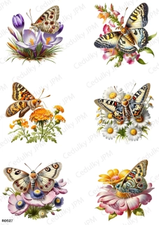 Rýžový a Soft  papír  A4 pro decoupage- R0527