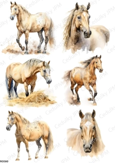 Rýžový a Soft  papír  A4 pro decoupage- R0560