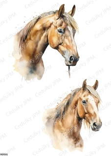 Rýžový a Soft  papír  A4 pro decoupage- R0561