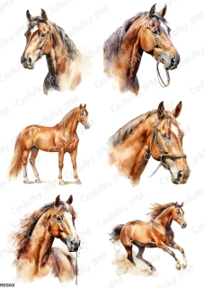 Rýžový a Soft  papír  A4 pro decoupage- R0562
