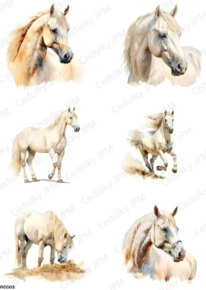 Rýžový a Soft  papír  A4 pro decoupage- R0563