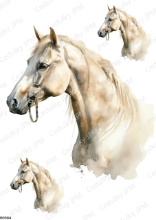 Rýžový a Soft  papír  A4 pro decoupage- R0564