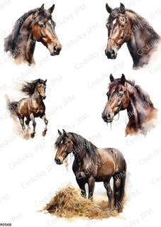 Rýžový a Soft  papír  A4 pro decoupage- R0565