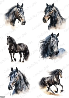 Rýžový a Soft  papír  A4 pro decoupage- R0567