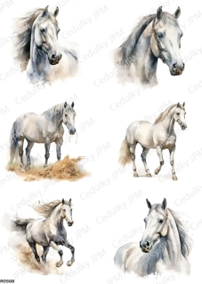 Rýžový a Soft  papír  A4 pro decoupage- R0568