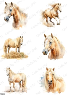 Rýžový a Soft  papír  A4 pro decoupage- R0569
