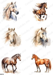 Rýžový a Soft  papír  A4 pro decoupage- R0570