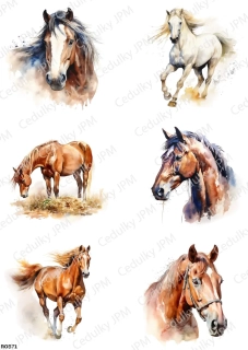 Rýžový a Soft  papír  A4 pro decoupage- R0571