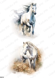 Rýžový a Soft  papír  A4 pro decoupage- R0572