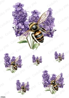 Rýžový a Soft  papír  A4 pro decoupage- R0601