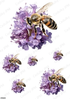 Rýžový a Soft  papír  A4 pro decoupage- R0603
