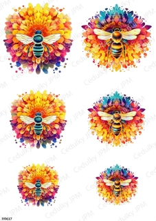 Rýžový a Soft  papír  A4 pro decoupage- R0617