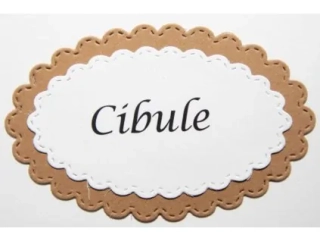 Cibule-14