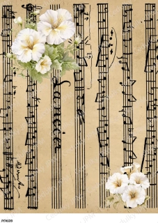 Rýžový a Soft  papír  A4 pro decoupage- R0628
