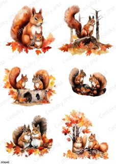 Rýžový a Soft  papír  A4 pro decoupage- R0645