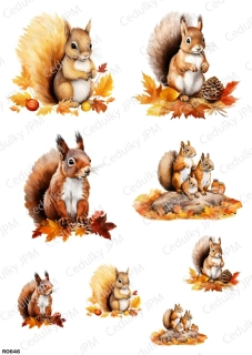 Rýžový a Soft  papír  A4 pro decoupage- R0646