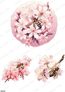 Rýžový a Soft  papír  A4 pro decoupage- R0648