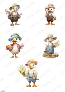 Rýžový a Soft  papír  A4 pro decoupage- R0687