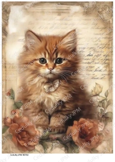 Rýžový a Soft  papír  A4 pro decoupage- R0702