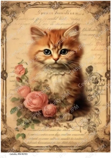 Rýžový a Soft  papír  A4 pro decoupage- R0703