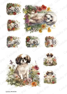 Rýžový a Soft  papír  A4 pro decoupage- R0704