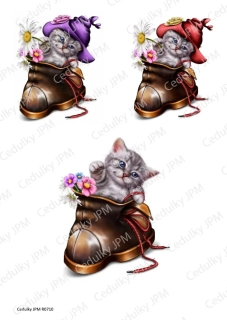 Rýžový a Soft  papír  A4 pro decoupage- R0710