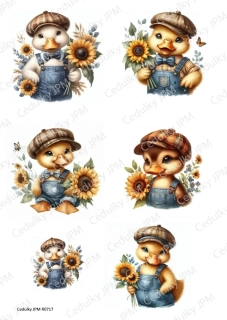 Rýžový a Soft  papír  A4 pro decoupage- R0717