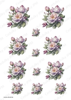 Rýžový a Soft  papír  A4 pro decoupage- R0738