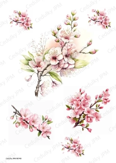 Rýžový a Soft  papír  A4 pro decoupage- R0740