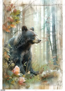 Rýžový a Soft  papír  A4 pro decoupage- R0808
