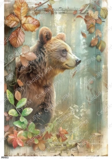 Rýžový a Soft  papír  A4 pro decoupage- R0811