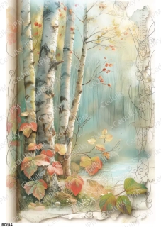 Rýžový a Soft  papír  A4 pro decoupage- R0814