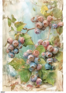 Rýžový a Soft  papír  A4 pro decoupage- R0817