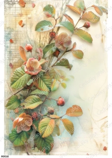 Rýžový a Soft  papír  A4 pro decoupage- R0818