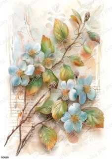 Rýžový a Soft  papír  A4 pro decoupage- R0819