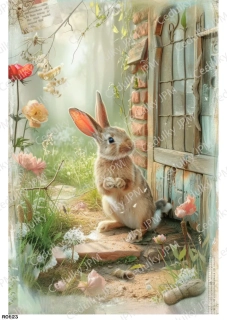 Rýžový a Soft  papír  A4 pro decoupage- R0823