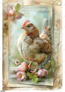 Rýžový a Soft  papír  A4 pro decoupage- R0828