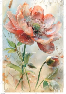 Rýžový a Soft  papír  A4 pro decoupage- R0831