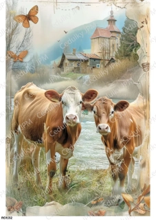 Rýžový a Soft  papír  A4 pro decoupage- R0832