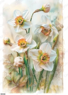 Rýžový a Soft  papír  A4 pro decoupage- R0836