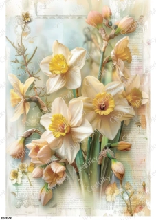 Rýžový a Soft  papír  A4 pro decoupage- R0838