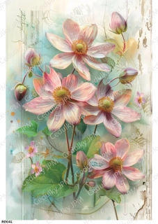 Rýžový a Soft  papír  A4 pro decoupage- R0841