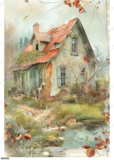 Rýžový a Soft  papír  A4 pro decoupage- R0842