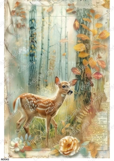 Rýžový a Soft  papír  A4 pro decoupage- R0843