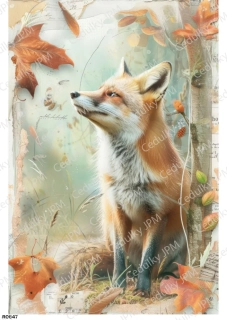 Rýžový a Soft  papír  A4 pro decoupage- R0847