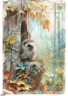 Rýžový a Soft  papír  A4 pro decoupage- R0854