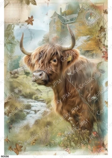 Rýžový a Soft  papír  A4 pro decoupage- R0856