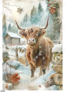 Rýžový a Soft  papír  A4 pro decoupage- R0857